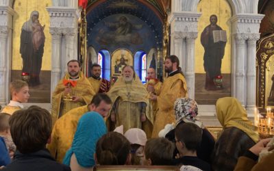Апп. От 70-ти: Стахий, Амплий, Урван, Наркисс, Апеллий и Аристовул — 13 ноября