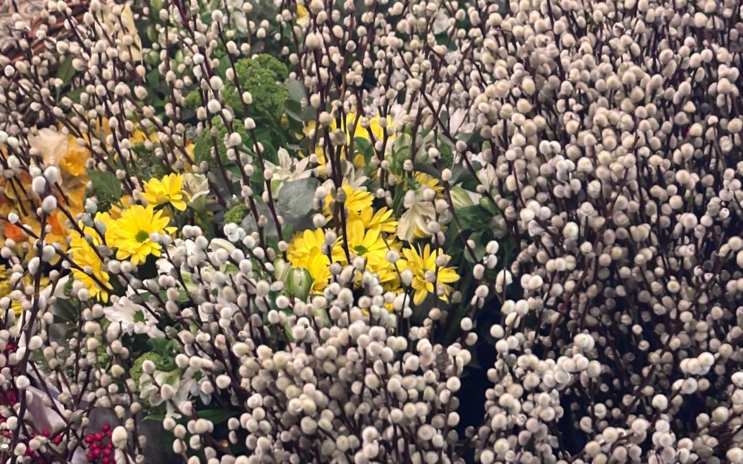 Entrée du Seigneur à Jérusalem, Dimanche des Rameaux – 5 avril