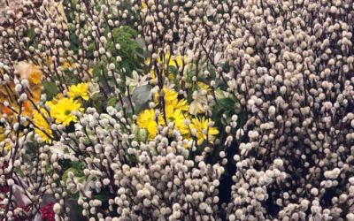 Entrée du Seigneur à Jérusalem, Dimanche des Rameaux – 5 avril